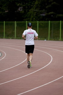 开云体育入口-高校运动训练效果科学评估研究，运动训练高校排名
