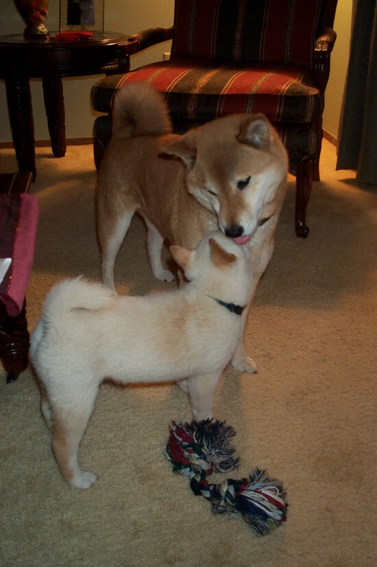 开云体育-中国女篮集中训练成效逐步显现，中国女篮集中训练成效逐步显现的原因