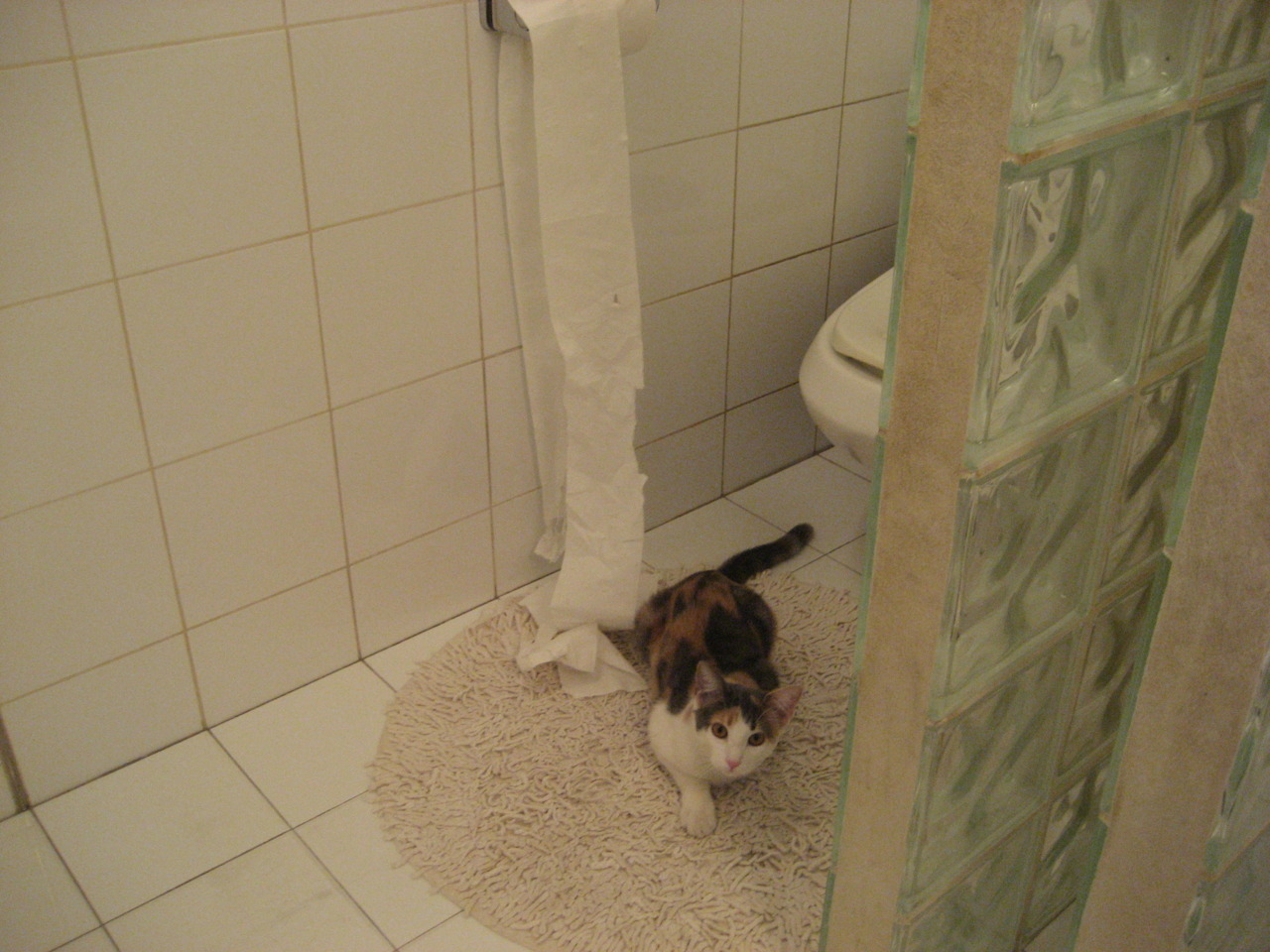 开云体育网址-中国男篮回归基本功训练 注重实战细节，中国男篮归化两人加入