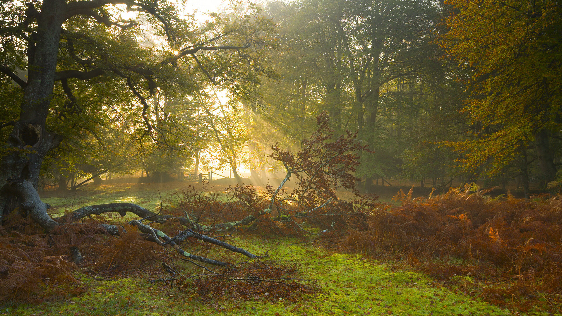 开云体育链接-中国男篮热身赛告捷 年轻阵容表现亮眼，中国男篮热身赛赛程表播出时间