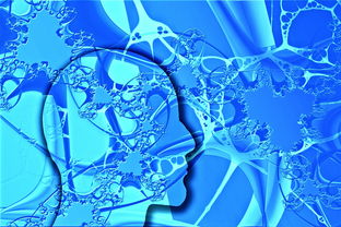 开云ky官网-中国足球未来发展规划不明朗,中国足球发展方向