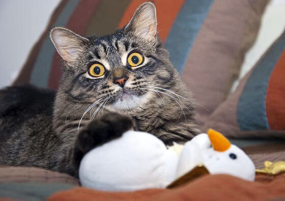 开云体育平台-中路推进密度是否决定整场进攻主轴走势