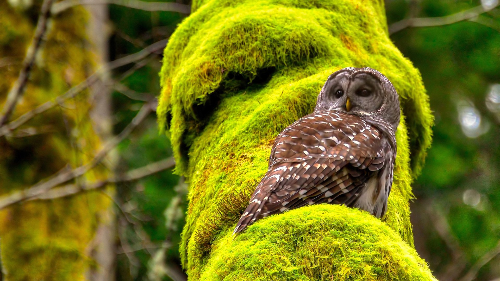 开云体育app官网-五大联赛是否通过短传控制对抗高压抢球