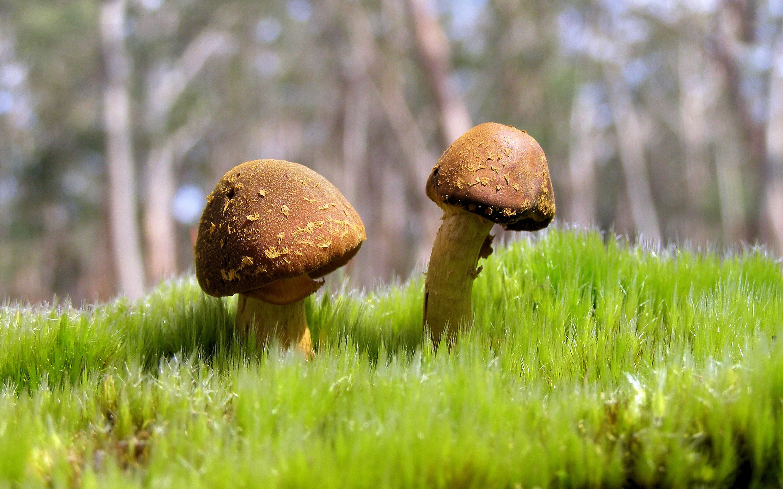 开云ky官网-体育新闻中心联合高校探索体育影像人才共育机制，体育产业人才培养