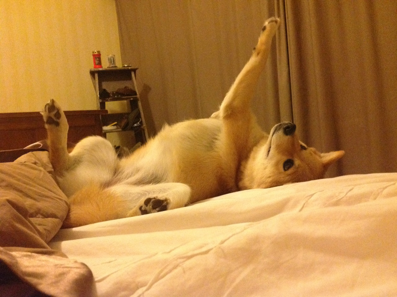 开云体育在线登入-单后腰支点撑起中场框架,单后腰阵型