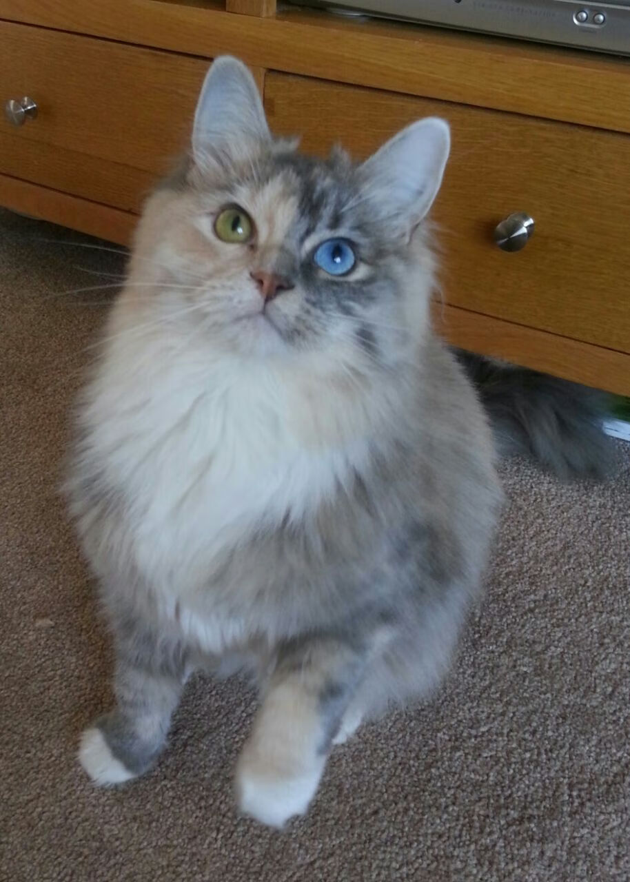 开云体育官网下载-“费尔南多·比亚尔巴的传球艺术为阿根廷橄榄球注入新血液”