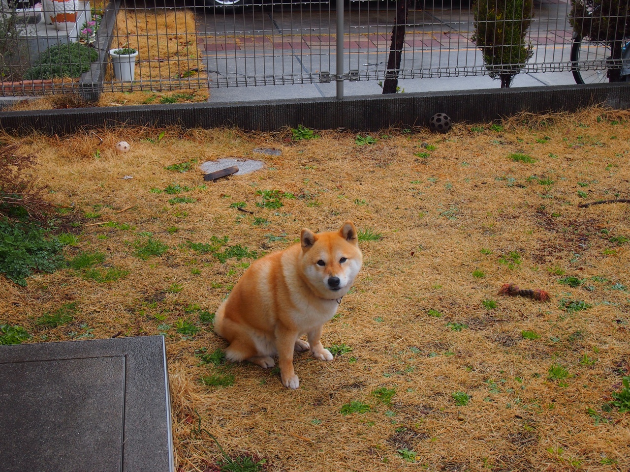 开云体育app注册-世界杯比赛中的技术创新应用,世界杯采用的是什么赛制