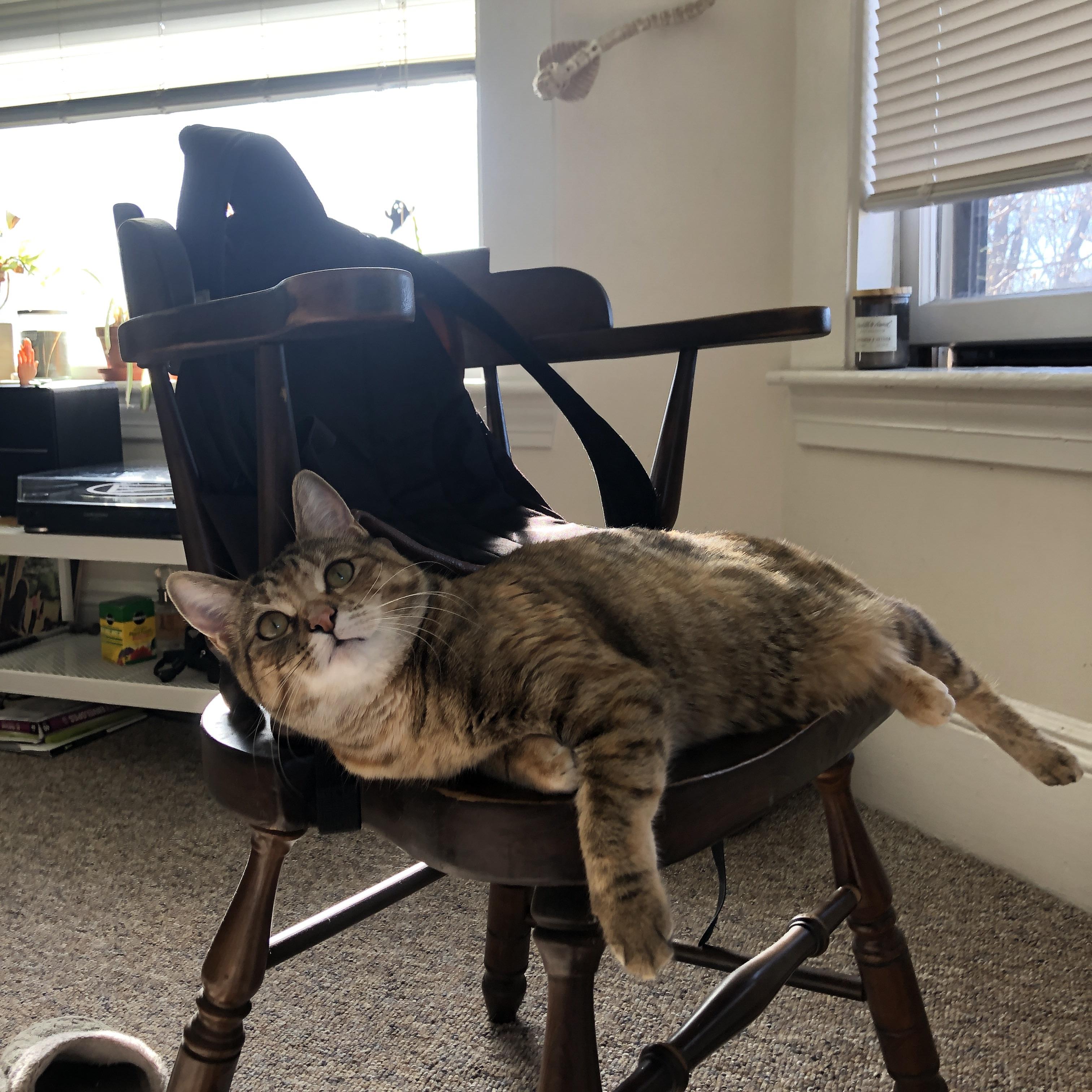 开云体育链接-体育新闻中心粉丝互动报道,体育新闻报道视频