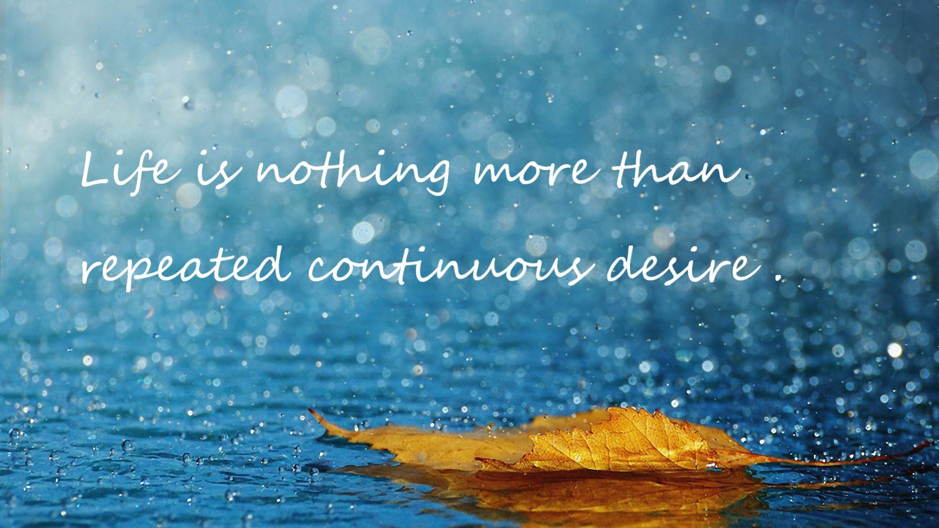 开云体育app-南非橄榄球赛事的全球化进程加速,未来发展潜力无穷,南非橄榄球比赛