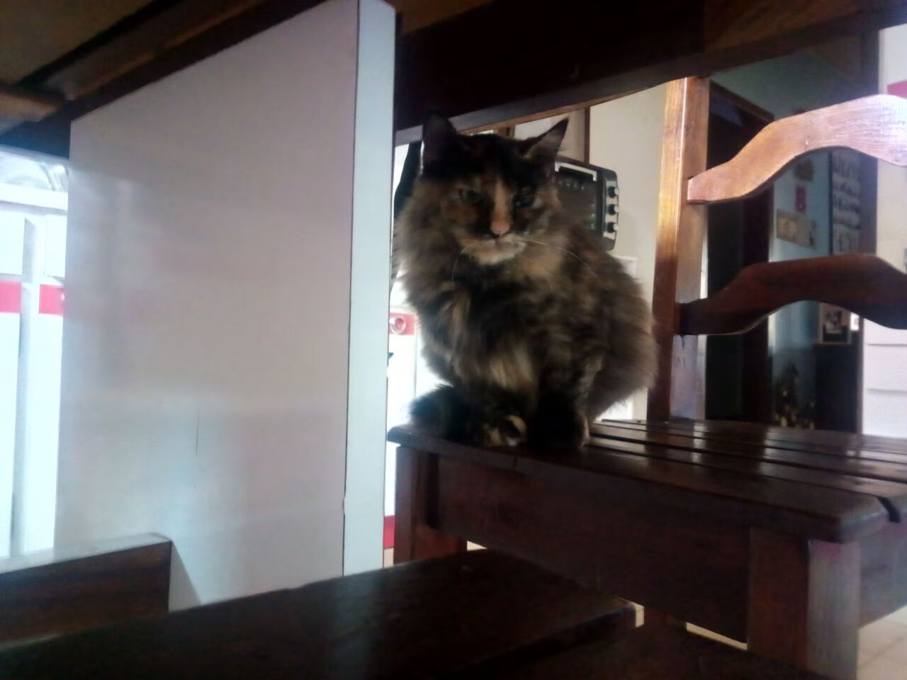 开云体育足球-女子联赛注重节奏控制提升整体比赛流畅度,女子技巧比赛