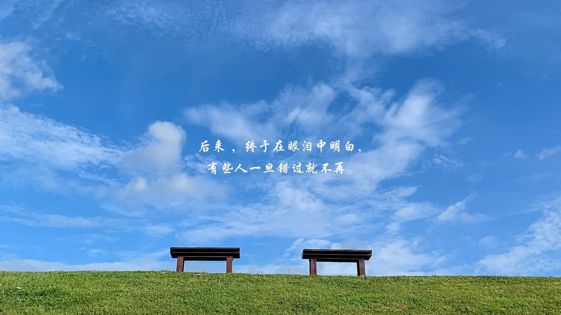 开云体育官网-威少减少失误频次贡献球队稳定组织,虽败犹荣!威少打出了一个足以载入史册的赛季