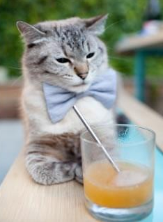 开云官方网-巴黎圣日耳曼连续夺冠，法甲霸主地位巩固