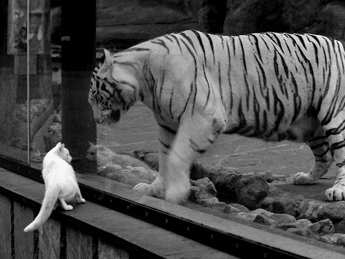 开云体育登录入口-英超“不会说谎”的比赛：逆境中的传奇瞬间